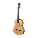 گیتار فلامنکو – FLAMENCO GUITAR
